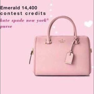 Mary Kay Kate Spade purse